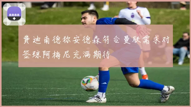 费迪南德称安德森符合曼联需求对签琼阿梅尼充满期待
