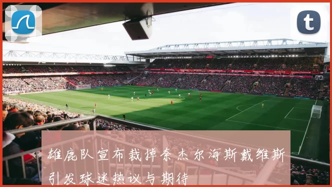 雄鹿队宣布裁掉奈杰尔海斯戴维斯引发球迷热议与期待