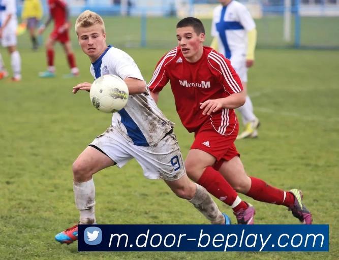 App Interface Preview